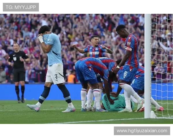 水晶宫俱乐部最新动态解析球队战略调整与未来发展方向